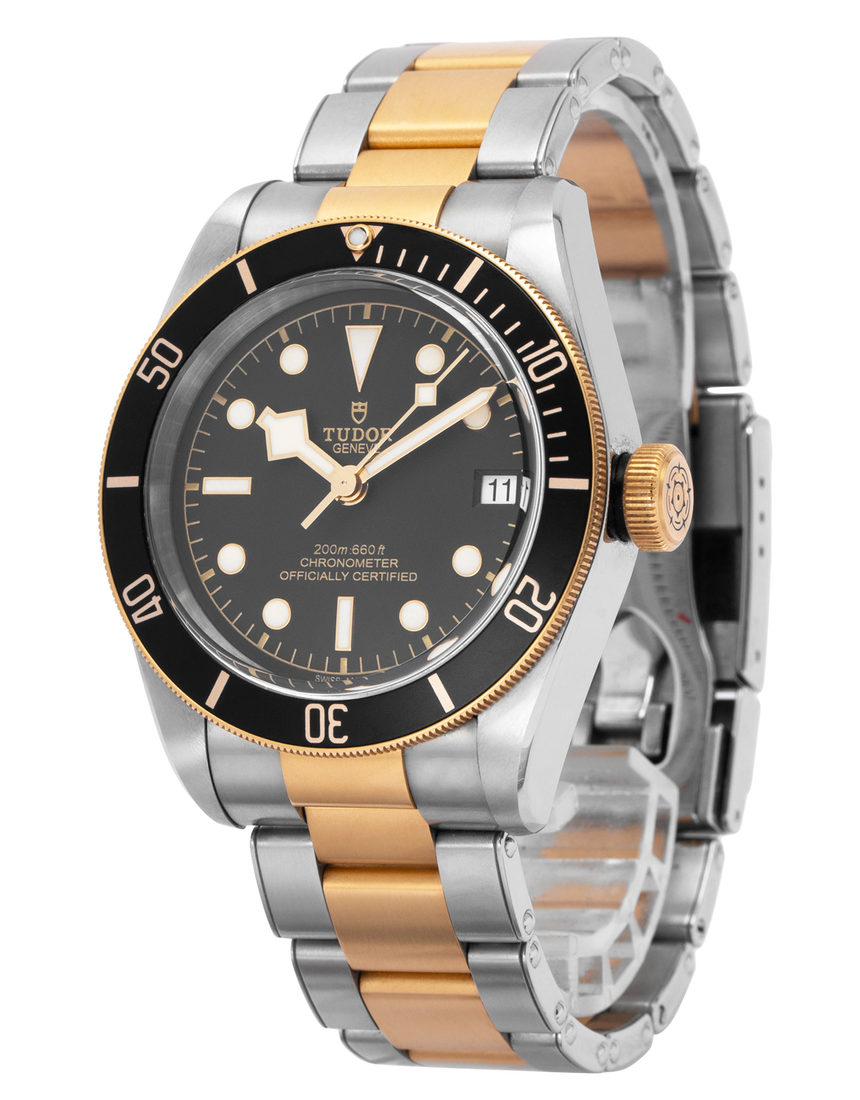 Tudor Heritage Black Bay 79733N - 41 mm Steel side