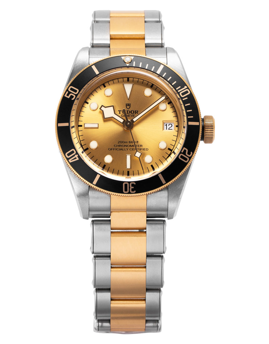 Tudor Heritage Black Bay 79733N - 41 mm Steel back