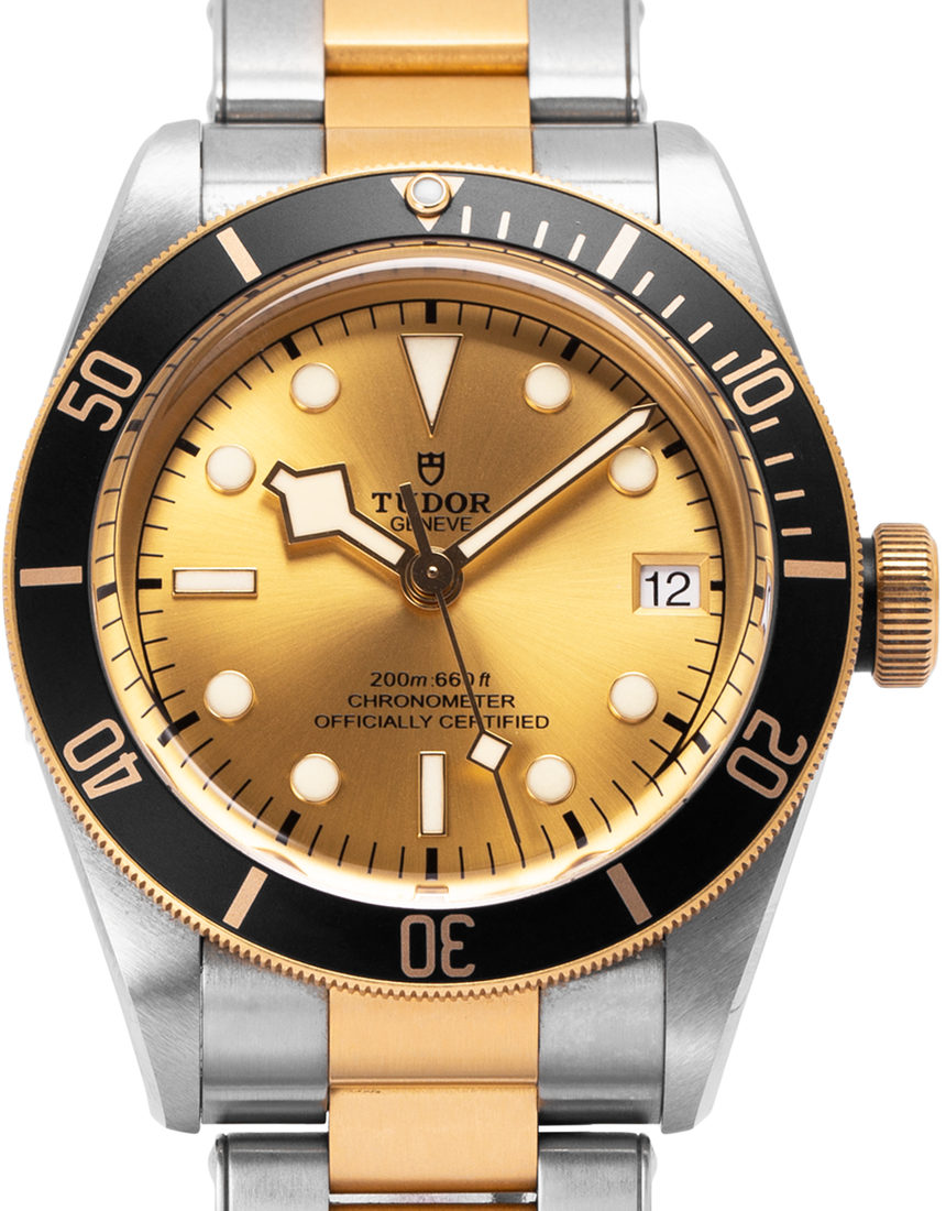 Tudor Heritage Black Bay 79733N - 41 mm Steel